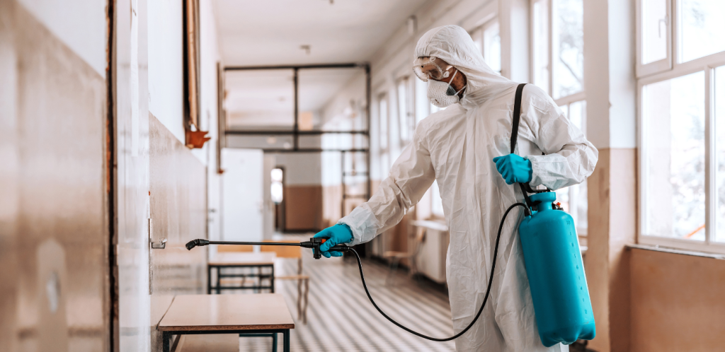 Pest Control Services | Professional Pest Management